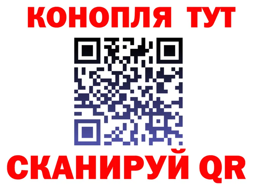 A-PVP СК КРИС маркетплейс маркетплейс OMG Вышний Волочёк