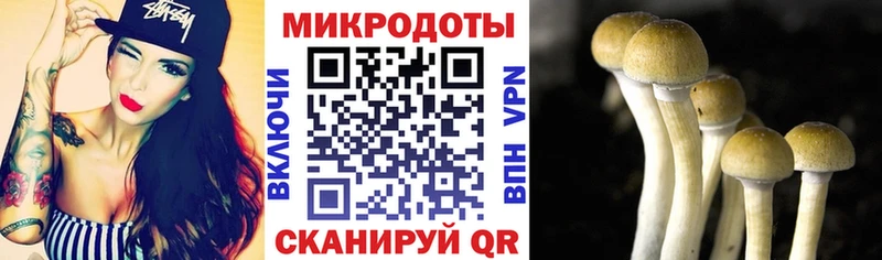 Псилоцибиновые грибы мицелий  Купить закладки  Вышний Волочёк 