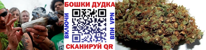 Купить где  Вышний Волочёк  Бошки марихуана семена 